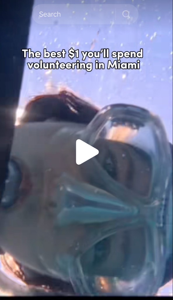 TikTok — Miami volunteering